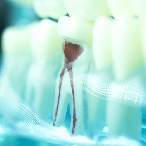 multi generational family